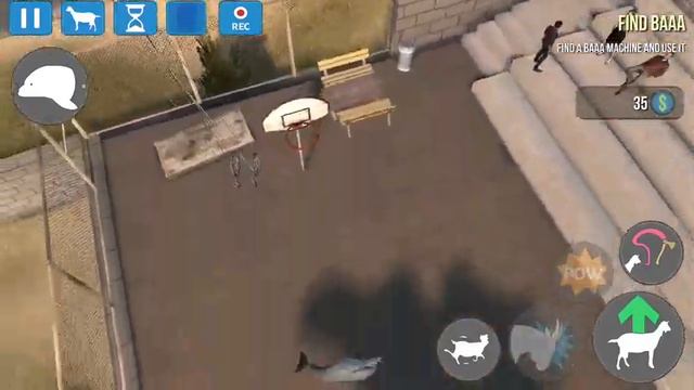 Stupid dolphin смотреть онлайн