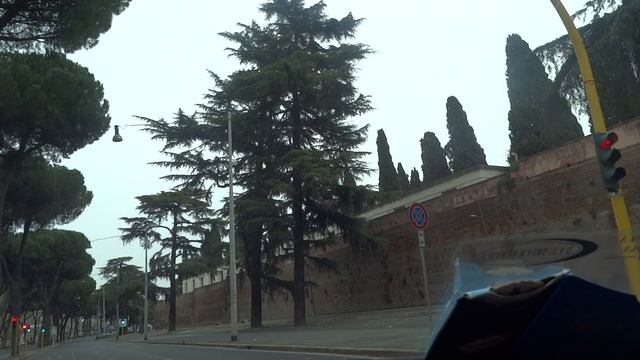 Famoso Pino Roma     Знаменитые  пинии  Рима