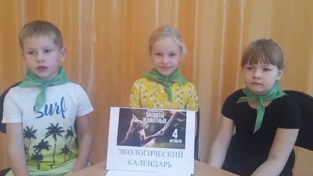 выпуск 2. ДОУ 136 смотреть онлайн