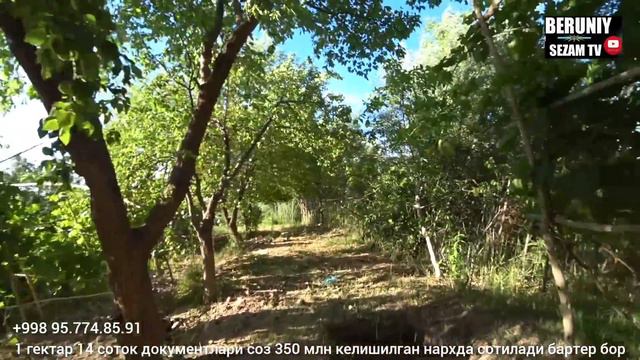 БЕРУНИЙДА 1.5 ГЕКТАРЛИ УЙ БАЛИК КУЛИ ХАМ БОР СРОЧНО СОТИЛАДИ БАРТЕР БОР 06.06.2023 смотреть онлайн