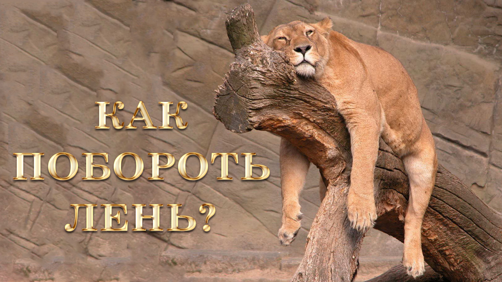 Как побороть лень и уныние смотреть онлайн