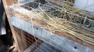 DIY - Сенник для кроликов. Кормушка для сена своими руками