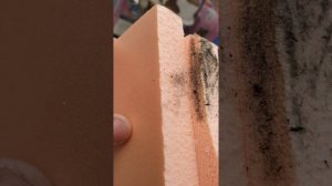 Пеноплекс и грибок