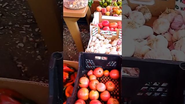 Вотчина Крымских татар. Изучаем Бахчисарай смотреть онлайн