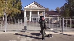 мама смотри что то падает похожее на одуванчики