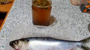 Солим Черноморскую селедку