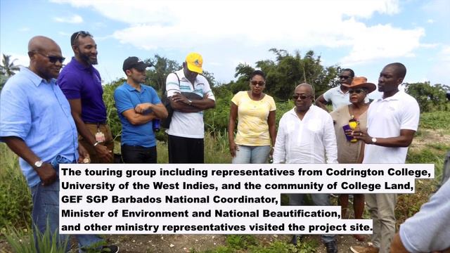 The Barbados Medicinal Plants Project at Codrington College смотреть онлайн