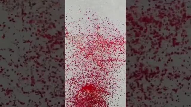 Создавай свой образ вместе с 