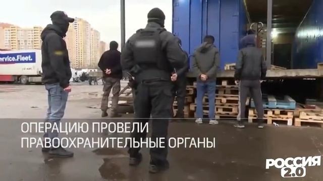 Рейд МВД совместно с "Русской общиной" и "Северным человеком" смотреть онлайн