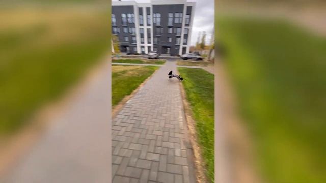 ПУДЕЛЬ. Новая стрижка. Новые вещи? Утро с собакой и многое другое) смотреть онлайн