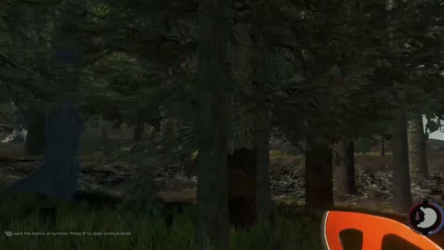 The Forest.Рассказываю про некоторые факты.Обсуждаем новую версию. смотреть онлайн