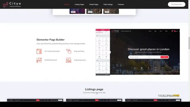 Cityo - Multiple Listing Directory WordPress Theme booking reservation Minami смотреть онлайн