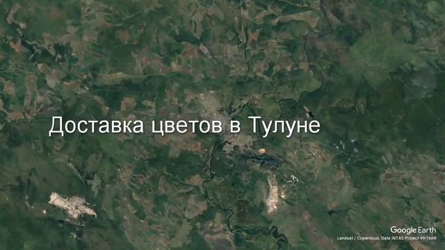 Доставка цветов в Тулуне - Заказ букетов от компании Скорая подарочная помощь смотреть онлайн
