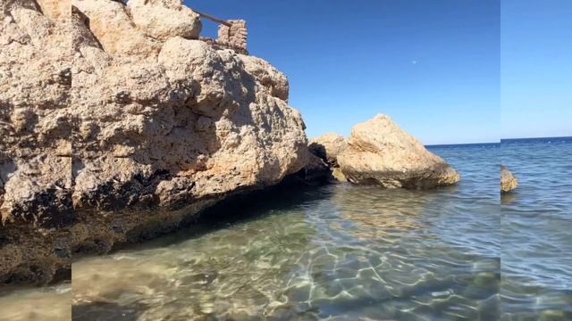 Royal Monte Carlo 5* Egypt 2023 #март#redsea#egypt#sharmelsheikh