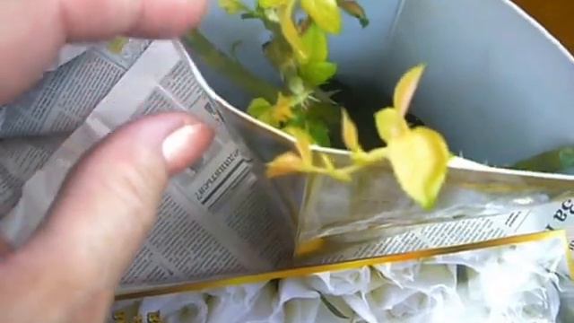 ревизия при хранении роз в коробках смотреть онлайн