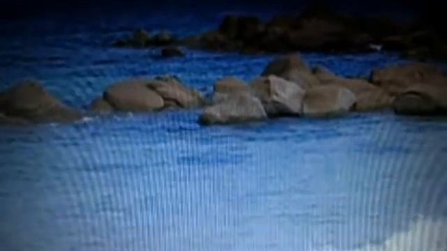 Vue sur la mer смотреть онлайн