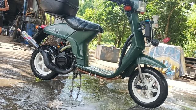 wash day for my honda tact AB07 смотреть онлайн