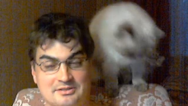 Кот Изя ест очки (без звука) смотреть онлайн