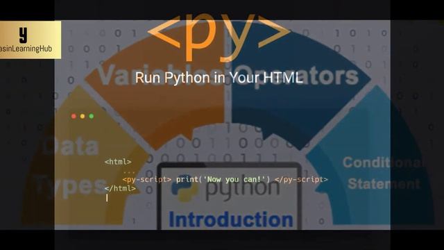 ?What Yasin Learning Hub Can Give You In Python Course? смотреть онлайн