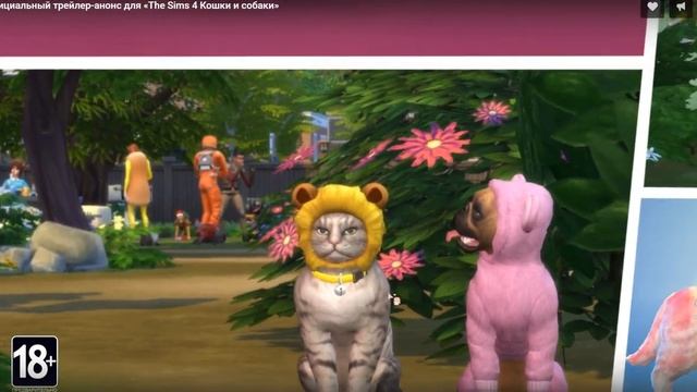 РЕАКЦИЯ КОШКИ И СОБАКИ THE SIMS 4 смотреть онлайн