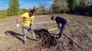 ПЛОДОВЫЙ САД С НУЛЯ. ПРАВИЛА ПОСАДКИ.
