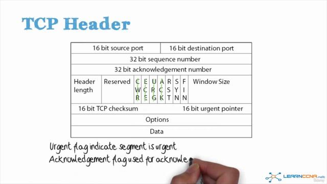 3 TCP Header and Applications смотреть онлайн