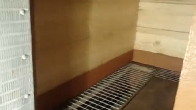 Клетки и маточник Часть2(обновление хозяйства)