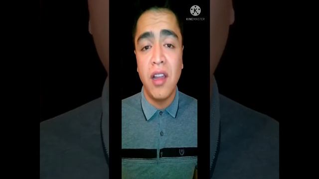 Эдуард Асадов. " Стихи о рыжей дворняге " смотреть онлайн