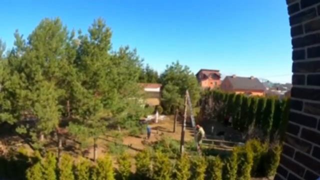 Удаление деревьев частями командой Чистая дача смотреть онлайн