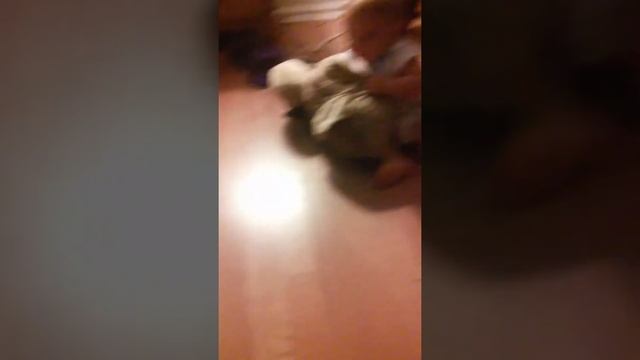 Go git the pillow pet смотреть онлайн