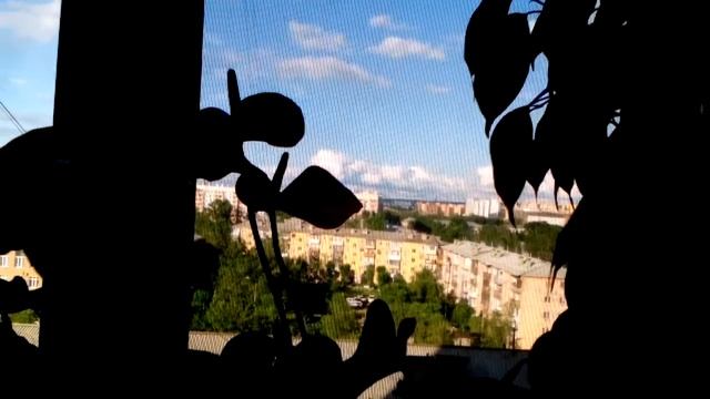 Клип Листик листик листопад клип Листик листик листопад смотреть онлайн