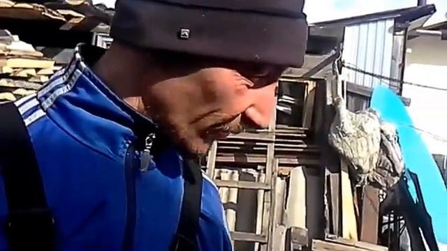 VIRAGO 110 кубиков смотреть онлайн