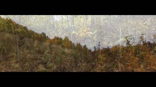 В осеннем лесу смотреть онлайн