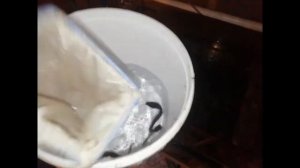 Разведение Африканского сома в Златоусте. Часть 2.