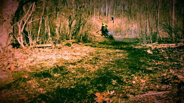 Suzuki RM85 ripping смотреть онлайн
