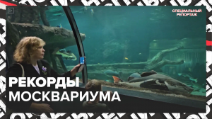 Как устроен Москвариум? — Москва 24 | Контент
