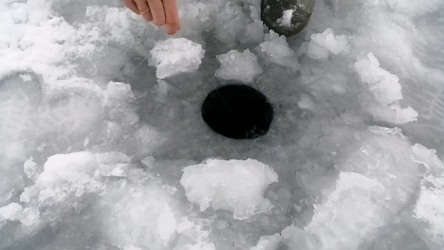 Рыбалка на Дону. Щука на 3,6 кг. Щука на жерлицы. смотреть онлайн