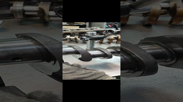 VID_20230220_181819