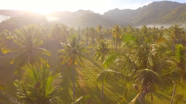 Про Витамин D смотреть онлайн