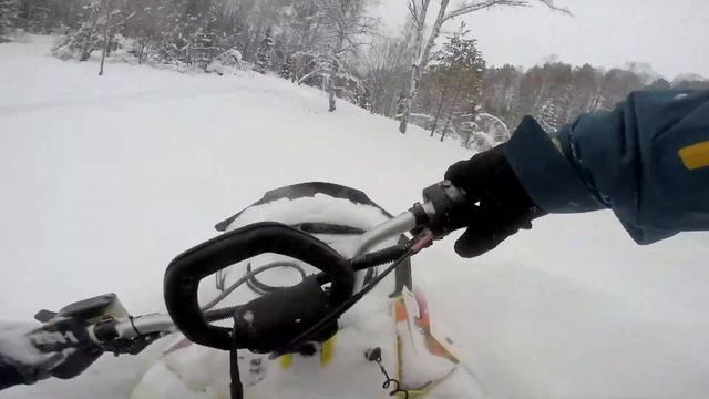 Белокуриха 2 Январь 2021г смотреть онлайн