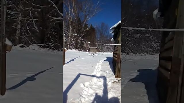 Нежитино—Козлово смотреть онлайн