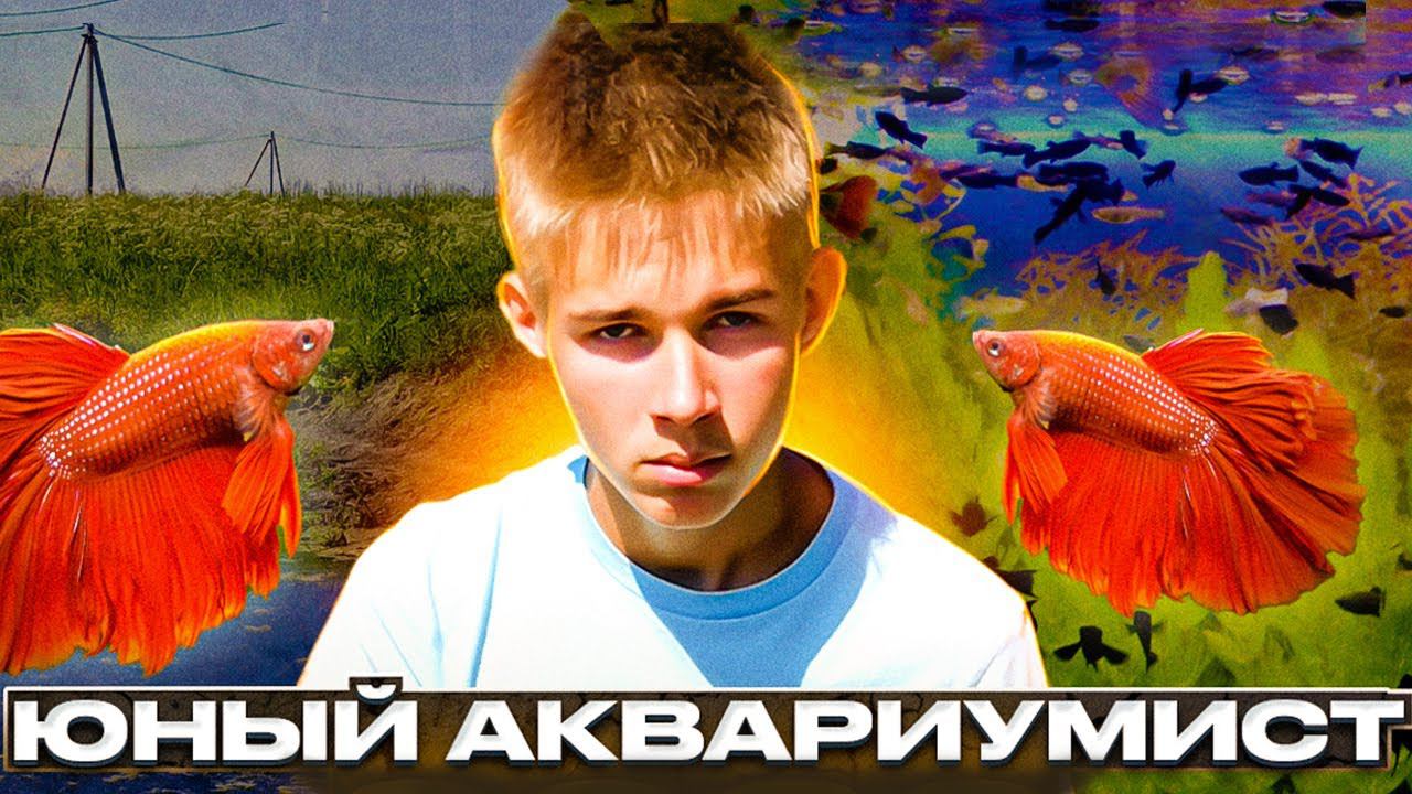Трейлер канала Юный Аквариумист смотреть онлайн