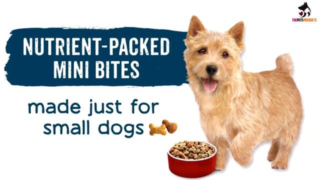 ✅Top 5 Best Dog Food for Pugs Reviews 2022 смотреть онлайн