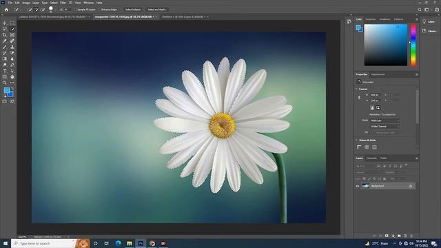 Magic Wand tool Quick Selection Tool Photoshop 2020 Class 05 смотреть онлайн