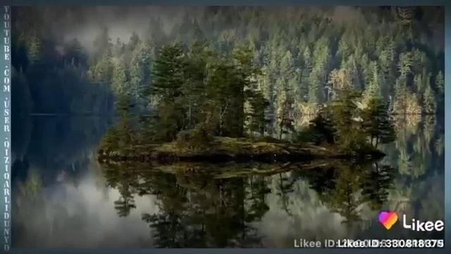 Noyabr Oyida Tugilganlar Uchun Munojimlar Bashorati