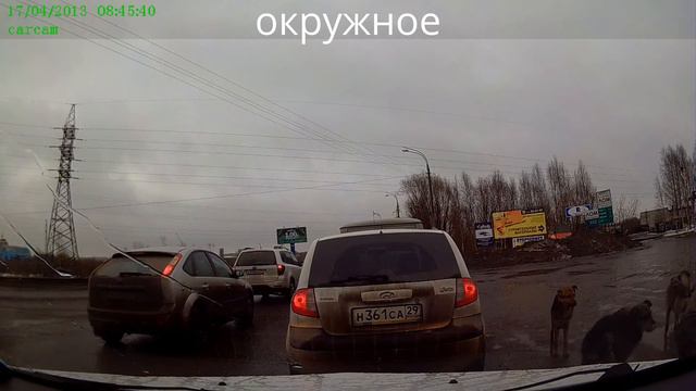 Собак меньше не становится! смотреть онлайн
