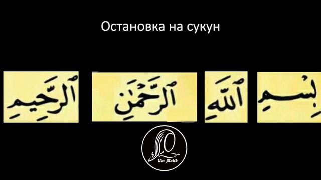 6 урок | Учимся читать суру аль-Фатиха ПРАВИЛЬНО с ум Малик #al-fatiha #аль-фатиха #фатиха смотреть онлайн