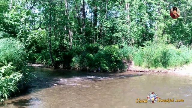 ЛЕТО ~ РЕКА ~ ОТДЫХ (4 МИНУТЫ РЕЛАКСАЦИИ) ЗВУКИ ПРИРОДЫ смотреть онлайн