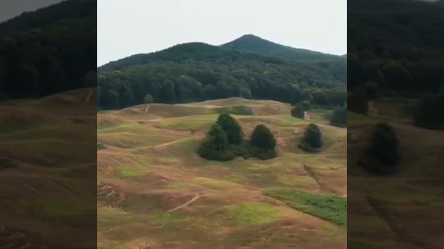 Томас Сухотин читает стихи Арсения Тарковского... смотреть онлайн