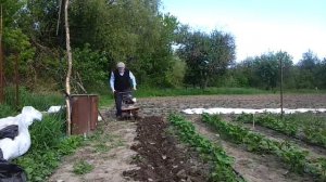 Мотокультиватор Тарпан. Работа модернизированных фрез по целине.